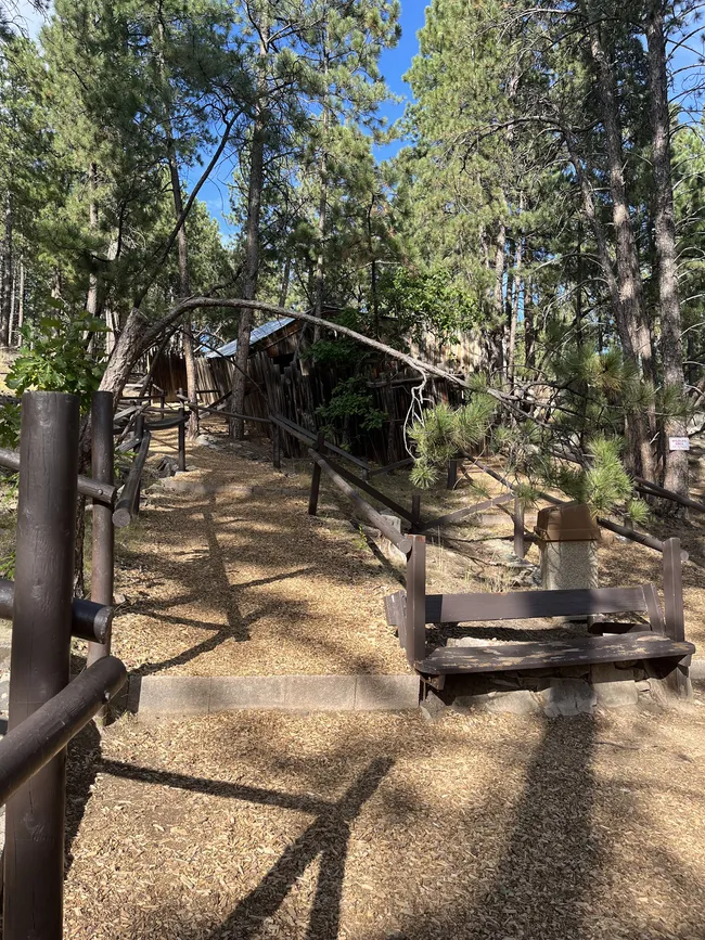 Wooden pathway leading through a pine forest to a rustic tilted cabin at the Cosmos Mystery Area in South Dakota.