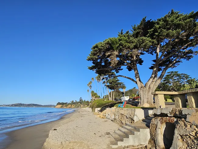 A wide-angle perspective of a narrow sandy beach meeting a calm blue ocean. On the right, a weathered stone and concrete sea wall features a set of stairs leading down to the sand. A large, sprawling evergreen tree with thick branches dominates the mid-ground, with tall, slender palm trees and colorful Adirondack chairs visible behind it under a brilliant, cloudless blue sky.