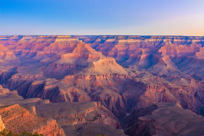 A wide, horizontal landscape shot of the Grand Canyon's South Rim at sunset. In the foreground on the left, a vertical limestone and sandstone cliff face is textured with small green shrubs. The vast canyon depth reveals countless layered red and orange rock buttes and plateaus, with the far North Rim visible as a long purple and blue line on the horizon. The entire scene is bathed in soft, warm sunset light under a clear, pale blue sky.